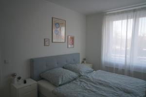 um quarto com uma cama com um cobertor azul e uma janela em Apartment Carla em Senftenberg