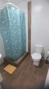 a bathroom with a toilet and a green shower curtain at Hotel Tabancura in Copiapó +20 photos