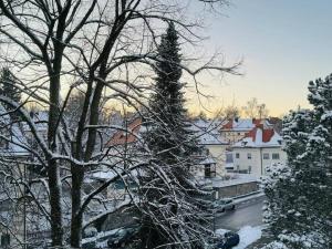 a snow covered tree in a city with buildings at Willkommen im „happines(t)“ in Haslach