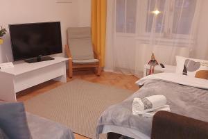 a living room with a bed and a television at Sunflower apt in Timişoara