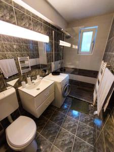 a bathroom with a toilet and a sink at Sunflower apt in Timişoara