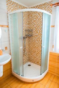 a shower with a glass door in a bathroom at Pronájem domu u řeky Lužnice v soukromém areálu-blue in Koloděje nad Lužnicí