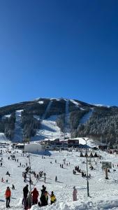 a group of people in the snow on a ski slope at Apartman Sunce Bjelasnica in Bjelašnica