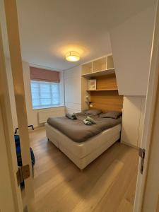een slaapkamer met een bed in een kamer met een raam bij Villa Naïla in Koksijde