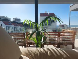 a plant sitting on top of a balcony with a window at Beach, Ocean view & Bright House Ericeira in Ericeira