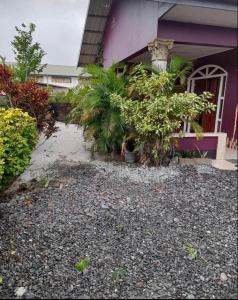 a house with a bunch of plants in front of it at Kapowlito Real Estate Casa Sitalweg in Paramaribo