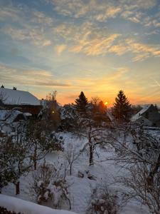 a snowy field with a sunset in the background at Ferienwohnung in Walddorf