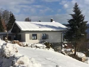 アンネンハイムにあるFerienhaus Berg'nSeeの雪屋根の家
