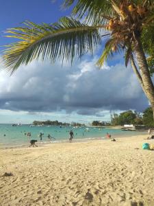 a beach with people in the water and a palm tree at Paille en Queue apartment in Grand Baie