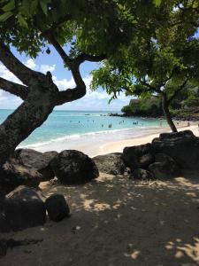 a beach with rocks and people in the water at Paille en Queue apartment in Grand Baie