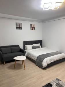 een slaapkamer met een bed, een bank en een tafel bij Dream Studio in Sînpetru