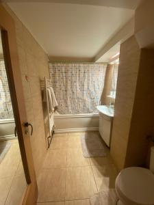 een badkamer met een toilet, een wastafel en een raam bij Luka Central Apartment in Craiova