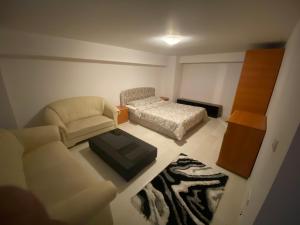 een woonkamer met een bank en een bed bij Luka Central Apartment in Craiova
