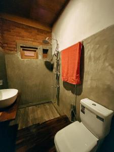 埃拉的住宿－NatureWoodland，一间带卫生间和水槽的浴室
