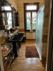 een keuken met een wastafel en een raam bij Villa Carla - Camera King Superior in Padua