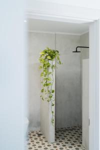 a plant in a vase in a room at Magnolia Villas Potos Thassos in Potos