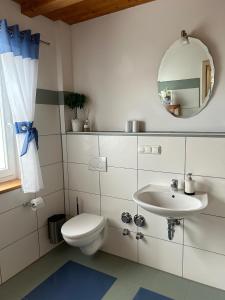 a bathroom with a toilet and a sink and a mirror at Scheilhof in Hirschbach