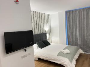 a bedroom with a bed and a flat screen tv at Bizi Bilbao I,II,III in Bilbao