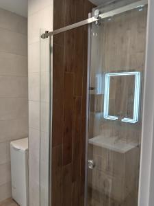 La salle de bains est pourvue d'une douche avec une porte en verre. dans l'établissement Tera apartment Zemun, à Belgrade