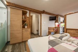 A television and/or entertainment centre at Apartment-Schöser