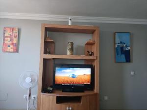 TV en un centro de entretenimiento de madera en Appartement vista mar, en Puerto del Rosario