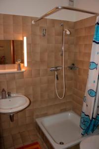 ein Badezimmer mit einer Dusche, einem Waschbecken und einer Badewanne in der Unterkunft "Alte Sparkasse" Nr2 in Landkirchen
