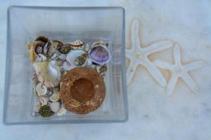 a plastic container with shells and a donut in it at Theodora in Panormos