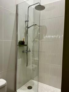 尼奧爾的住宿－Studio hypercentre Niort，浴室里设有玻璃门淋浴