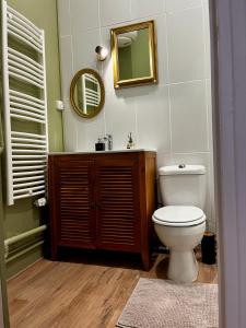 尼奧爾的住宿－Studio hypercentre Niort，一间带卫生间和镜子的浴室