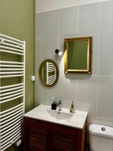 尼奧爾的住宿－Studio hypercentre Niort，一间带水槽、镜子和卫生间的浴室