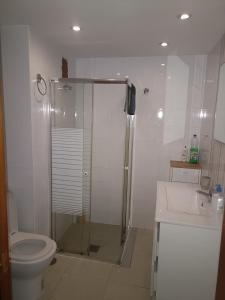 a bathroom with a shower and a toilet and a sink at Appartement vista mar in Puerto del Rosario