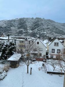 eine schneebedeckte Stadt mit Häusern und einem Hydranten in der Unterkunft Ferienwohnung Dieblich an der Mosel in Dieblich
