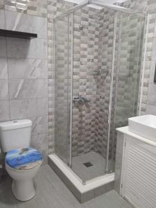 a bathroom with a shower with a toilet and a sink at Kalymnos Platy Gialos Mousellis Makis Apartments in Kalymnos