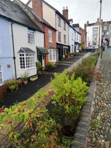 eine Straße in einer Stadt mit Häusern und Pflanzen in der Unterkunft Toad Hall in Ludlow