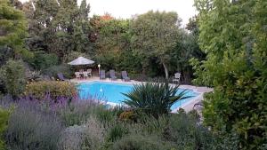 una piscina en un jardín con sillas y sombrilla en Alba House Guest House, en Paarl