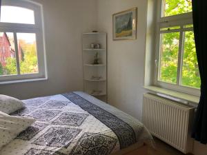 a bedroom with a bed and two windows at Marktresidenz Eisenach- Stilvolle Maisonette mit 3 Zimmern und 2 Bädern in Eisenach