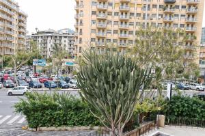 a palm tree in front of a large building at Suite Strasburgo in Palermo