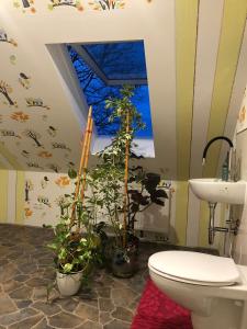 a bathroom with a toilet and plants in it at Marktresidenz Eisenach- Stilvolle Maisonette mit 3 Zimmern und 2 Bädern in Eisenach +41 photos