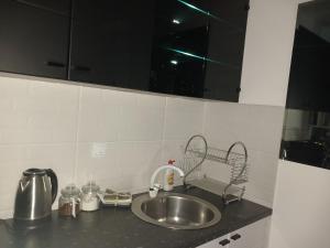Kitchen o kitchenette sa Studio D&N Jezero