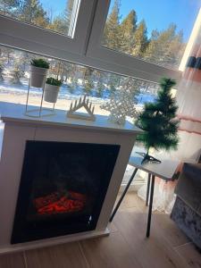 Gallery image ng Studio D&N Jezero sa Divčibare