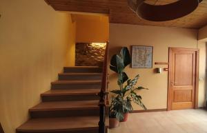 Fotografie z fotogalerie ubytování Apartaments Falset v destinaci Falset
