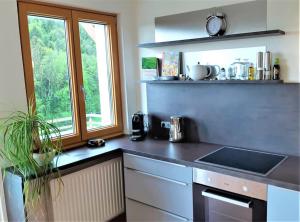 a kitchen with a counter with a sink and a window at Genuss Appartement am Familien Weingut in Krottendorf bei Ligist