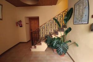 Fotografie z fotogalerie ubytování Apartaments Falset v destinaci Falset