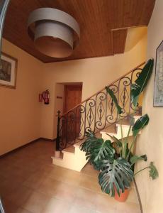 Fotografie z fotogalerie ubytování Apartaments Falset v destinaci Falset