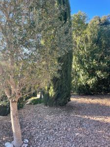 Vonkajšia záhrada v ubytovaní Villa Porto-vecchio 4 chambres avec piscine