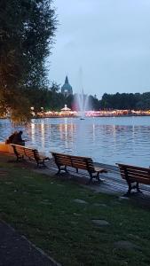 tres bancos frente a un lago con una fuente en Ferienwohnung Kleopatra Messe Maschsee en Hannover