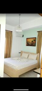 1 dormitorio con 1 cama en una habitación en Berat2024, en Berat