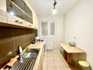a kitchen with a sink and a counter top at Twins Apartments 2 in Ploieşti