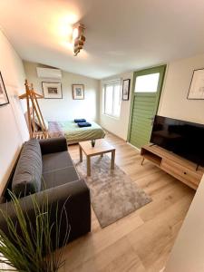 een woonkamer met een bank en een televisie bij Charmant appart 35m² dans villa in Saint-Laurent-du-Var