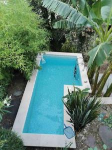 une petite piscine dans un jardin avec des plantes dans l'établissement Charmant appart 35m² dans villa, à Saint-Laurent-du-Var
